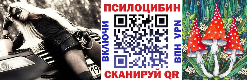 Галлюциногенные грибы Psilocybe  Купить закладки  Черняховск 