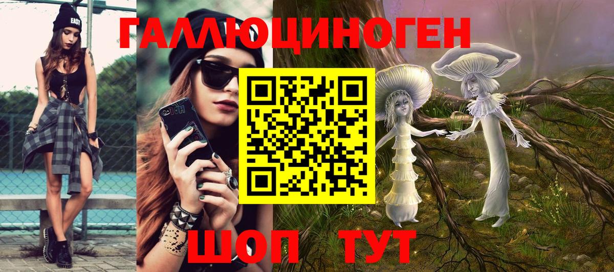 Галлюциногенные грибы Psilocybine cubensis Черняховск