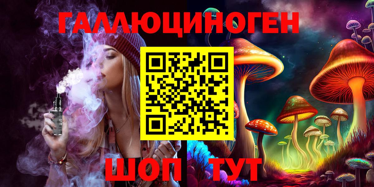 Черняховск  Псилоцибиновые грибы Psilocybe  Вход с VPN 