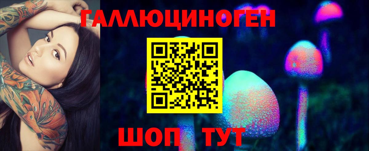 Галлюциногенные грибы MAGIC MUSHROOMS  Псилоцибиновые грибы мицелий  Черняховск 