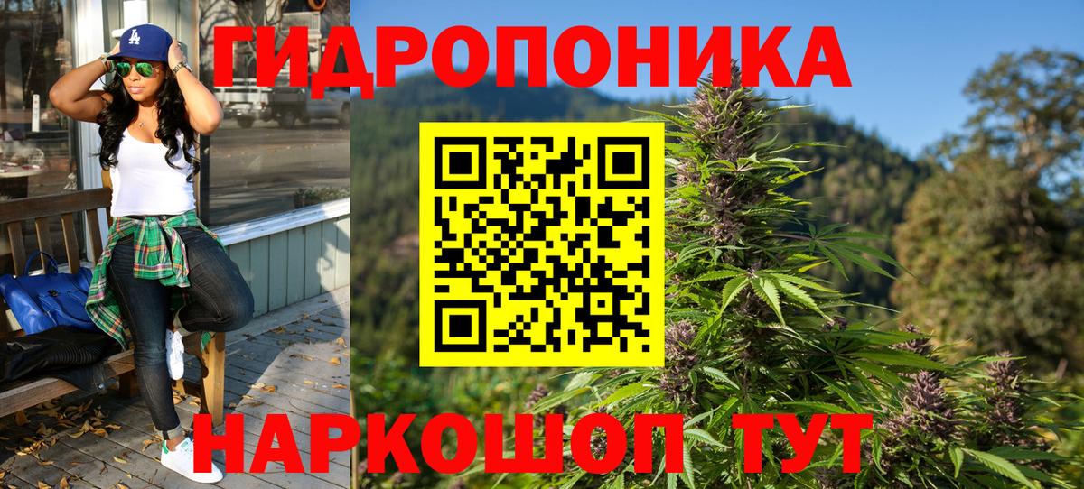 Каннабис Bruce Banner  Вход с VPN  МАРИХУАНА ГИДРОПОН  Черняховск  Бошки Шишки ГИДРОПОН 